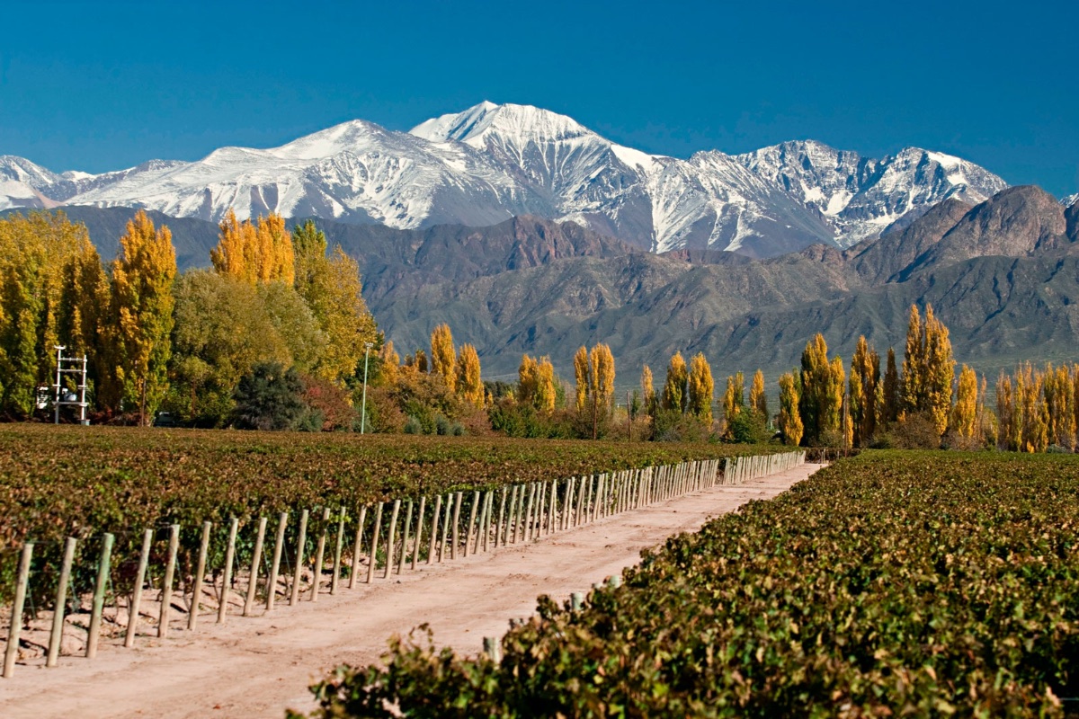 Seven-Day Wine Country Trip Through Chile and Argentina