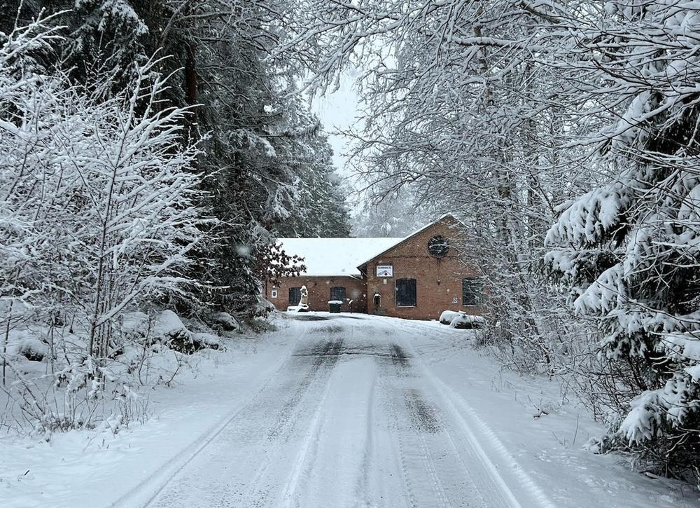 Winter Reset Retreat in the Swedish Forest